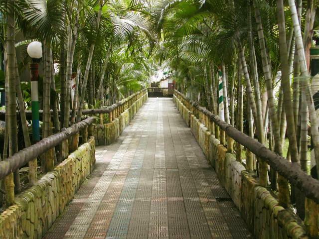 כלכותה Palm Village Resort מראה חיצוני תמונה